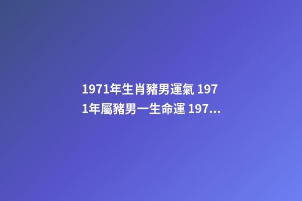 1971年生肖豬男運氣 1971年屬豬男一生命運 1971年屬豬男人命運-第1張-觀點-玄機派